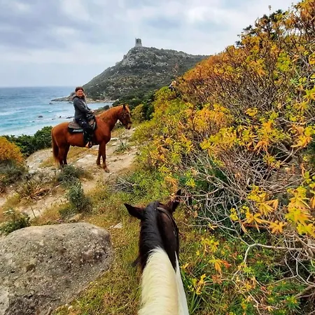 S'arenada - Adults Only 3* Villasimius