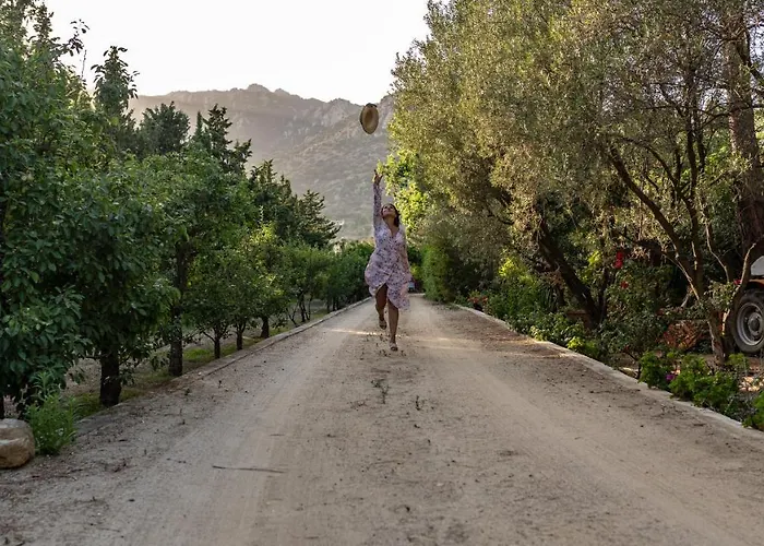 Hotel S'arenada - Adults Only