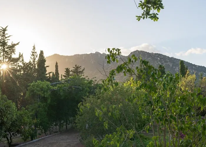 S'arenada - Adults Only Hotel