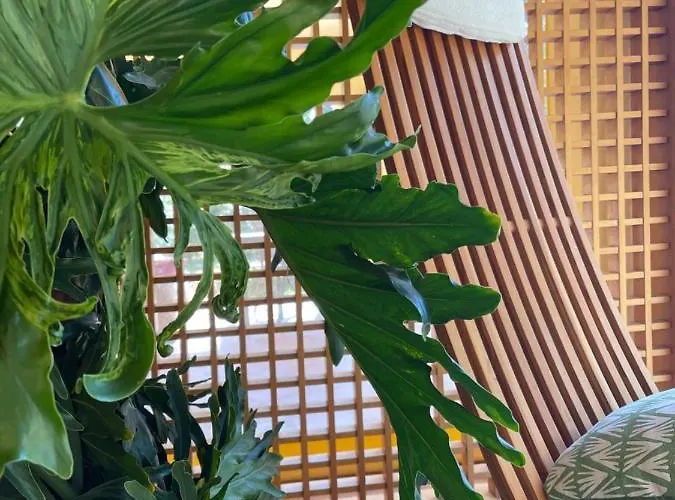 S'arenada - Adults Only 3*