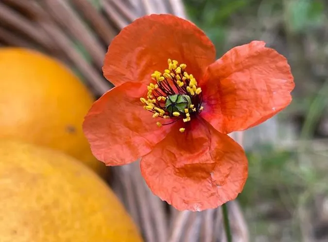 S'arenada - Adults Only 3*