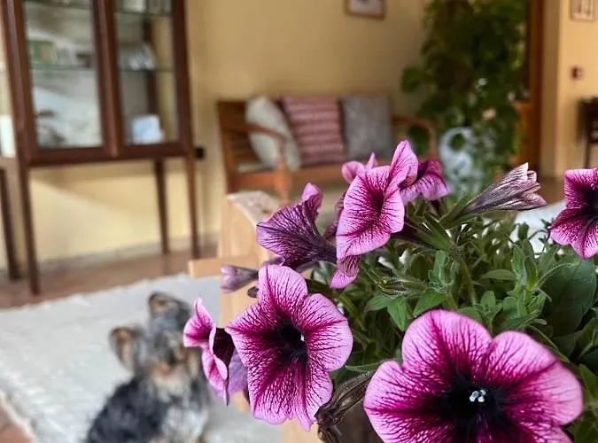 S'arenada - Adults Only 3*