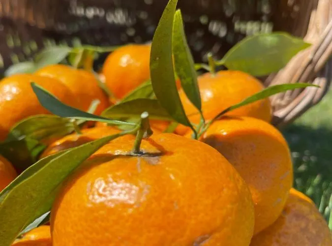 S'arenada - Adults Only Отель