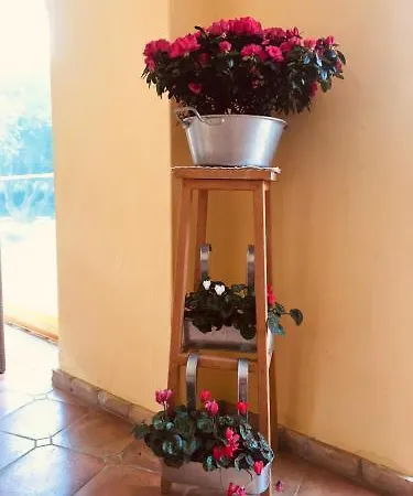 S'arenada - Adults Only