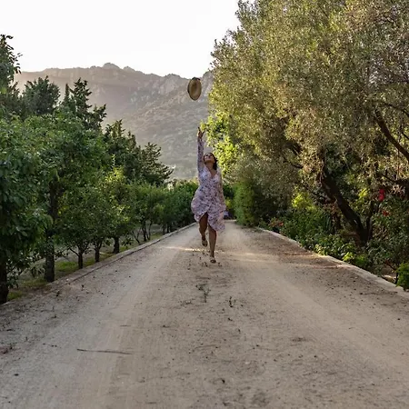 Hotel S'arenada - Adults Only