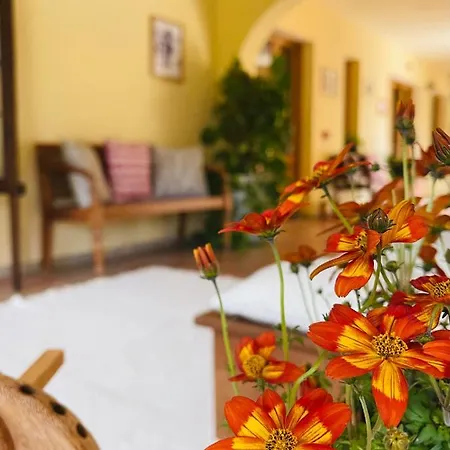 S'arenada - Adults Only Otel Villasimius