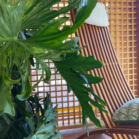 S'arenada - Adults Only 3*