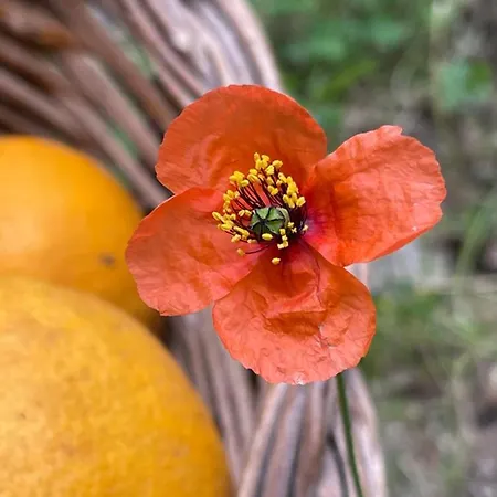 S'arenada - Adults Only 3*