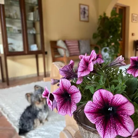 S'arenada - Adults Only 3*