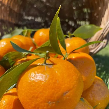 S'arenada - Adults Only Hotel