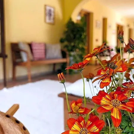 Hotell S'arenada - Adults Only