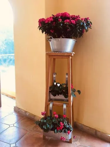 S'arenada - Adults Only